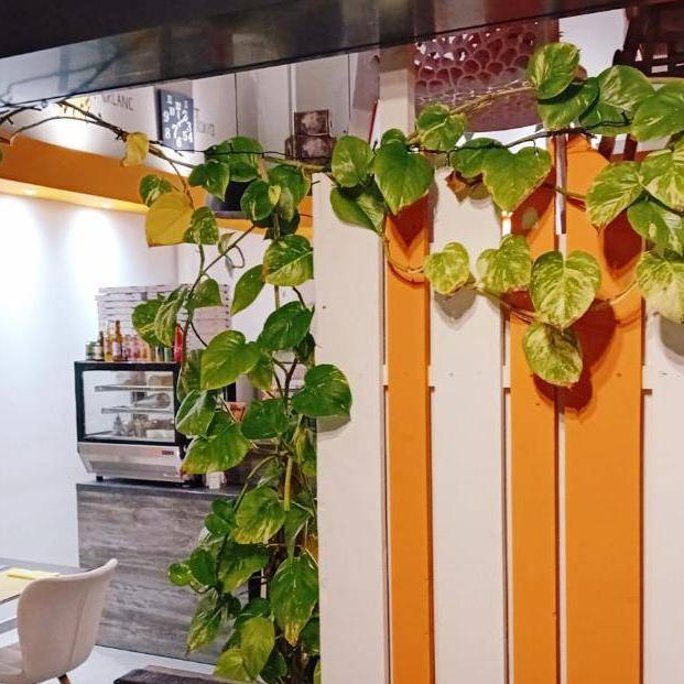 L'Escale - Restaurant Arlanc - restaurant Traditionnel ARLANC